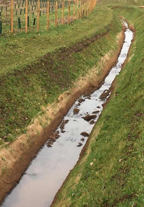 The advantages of lining ditches and swales in reducing erosion and pollution risks 24 lining ditches with silt net