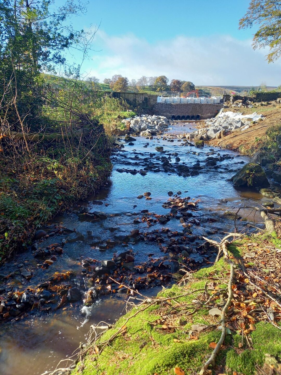 20241029_102145 from RSK (Large)