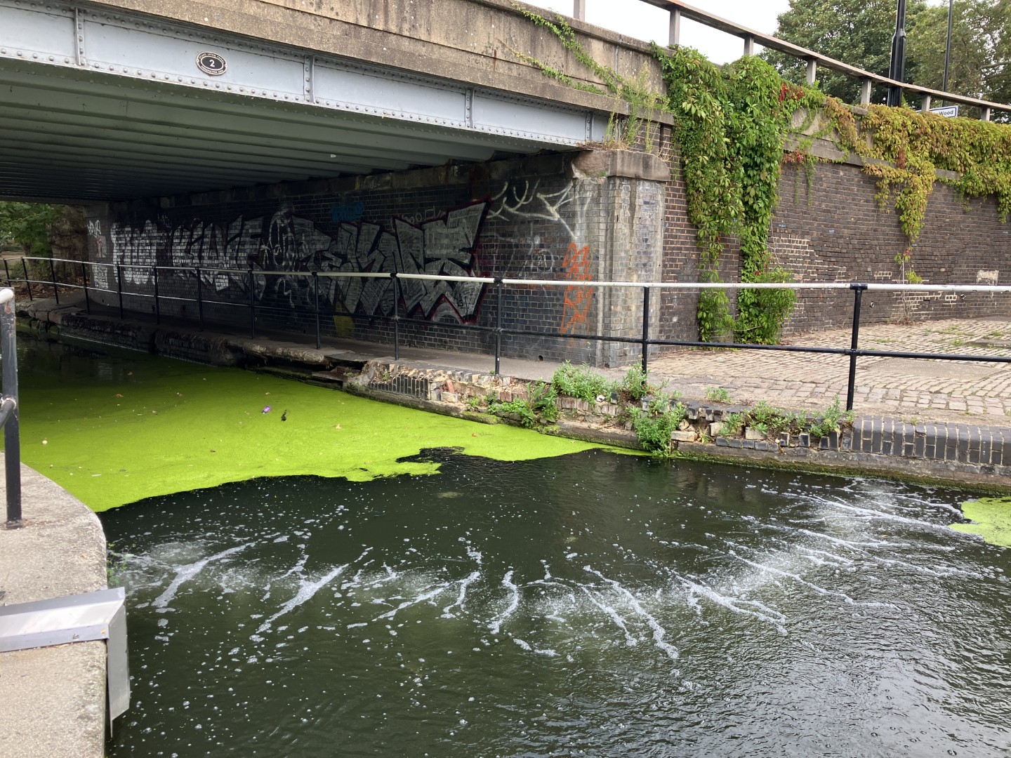 Weed control at Paddington Basin, London (Large)