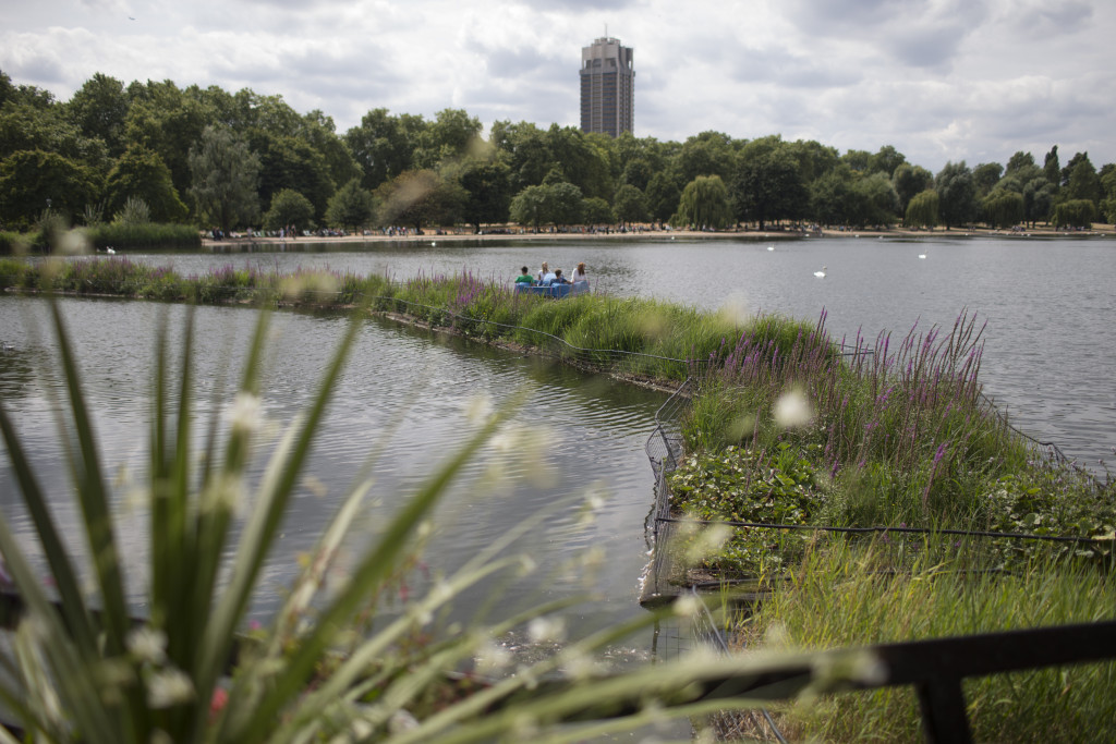 BioHaven floating islands on the Serpentine
