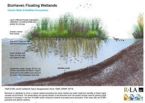 BioHaven Infographic (download pdf)