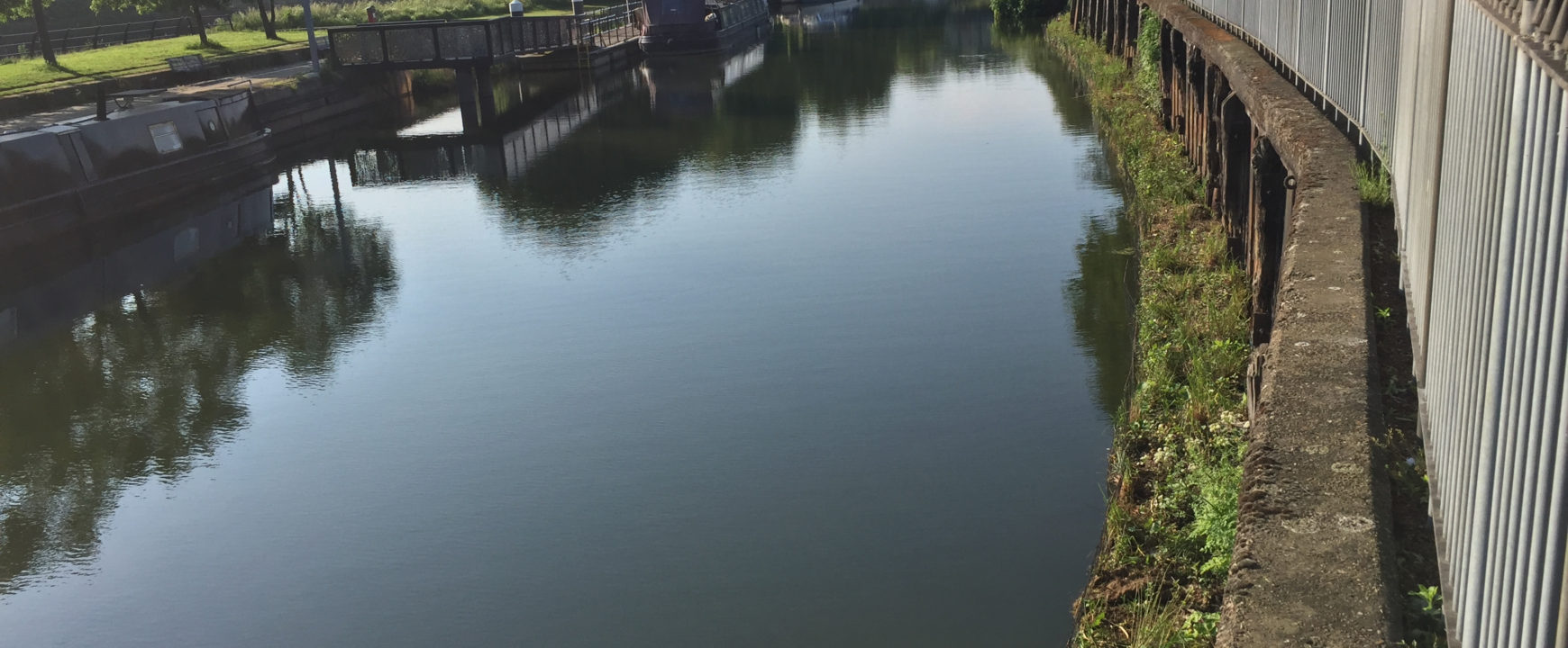 BioHaven on Thames 21 River Lea project