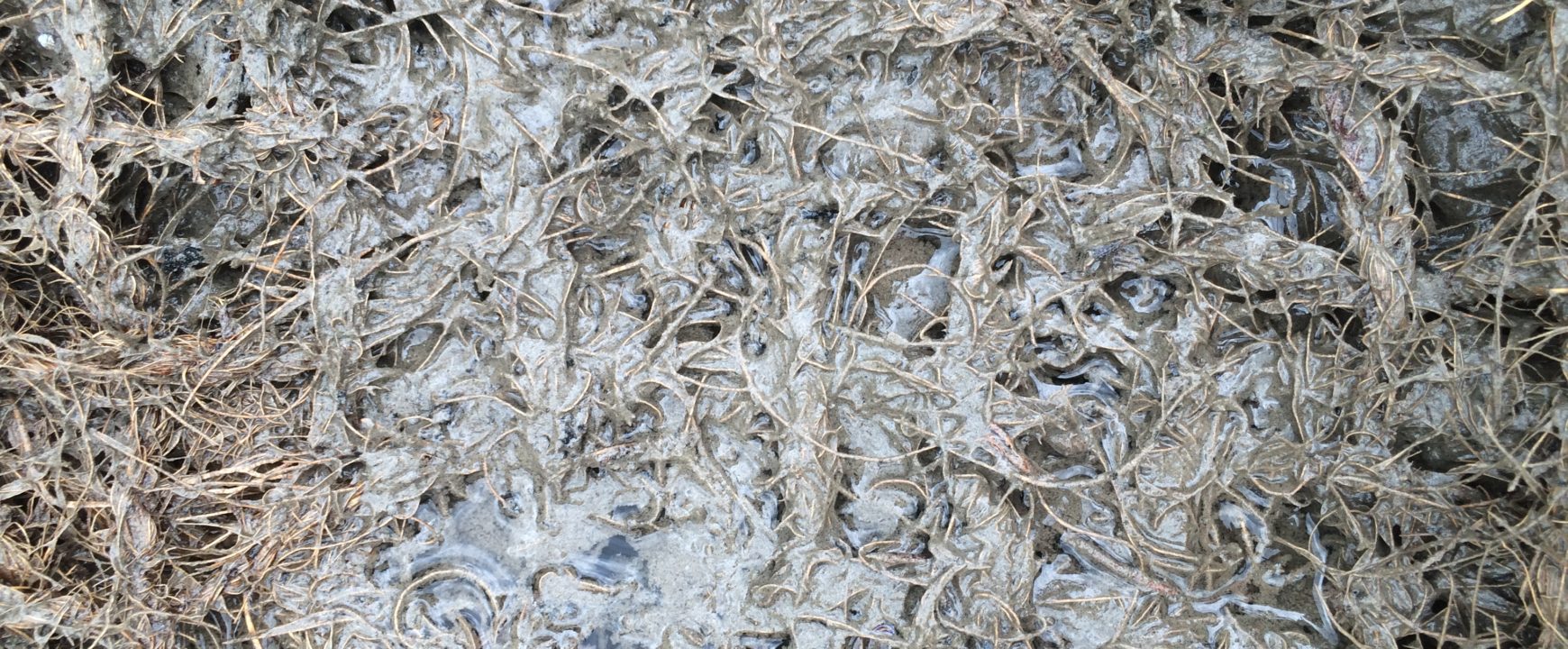 Floc mat capturing silts