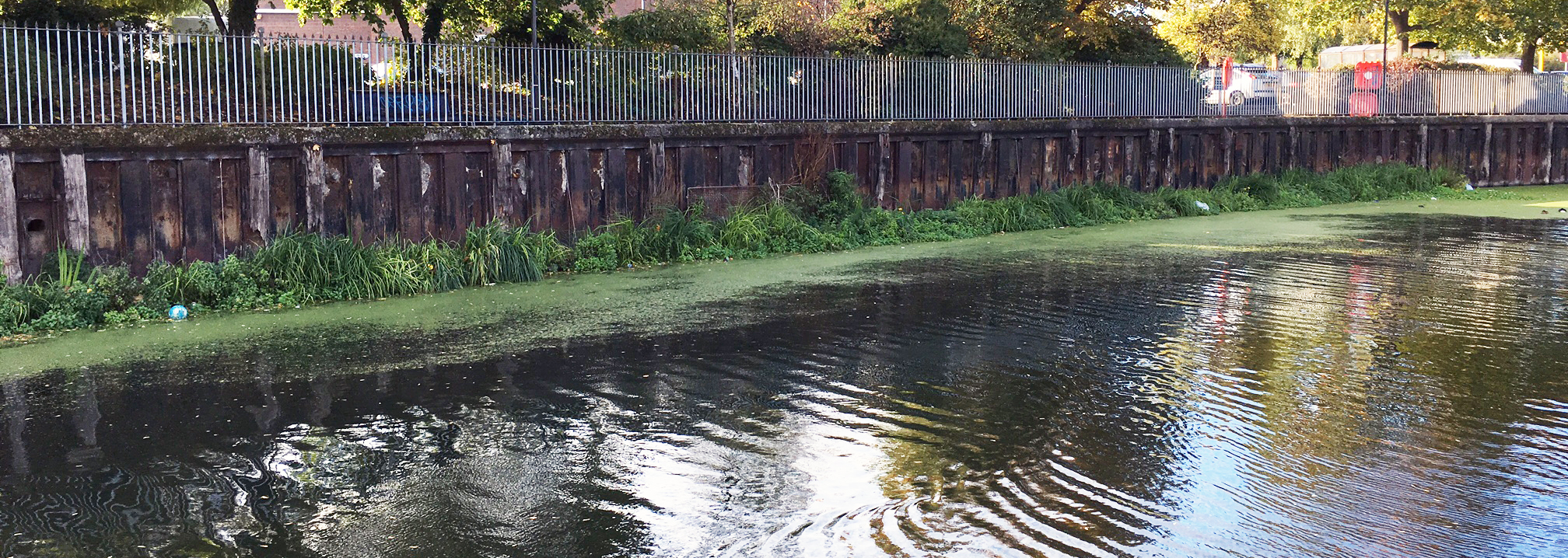 BioHaven Floating Wetlands on the River Lee