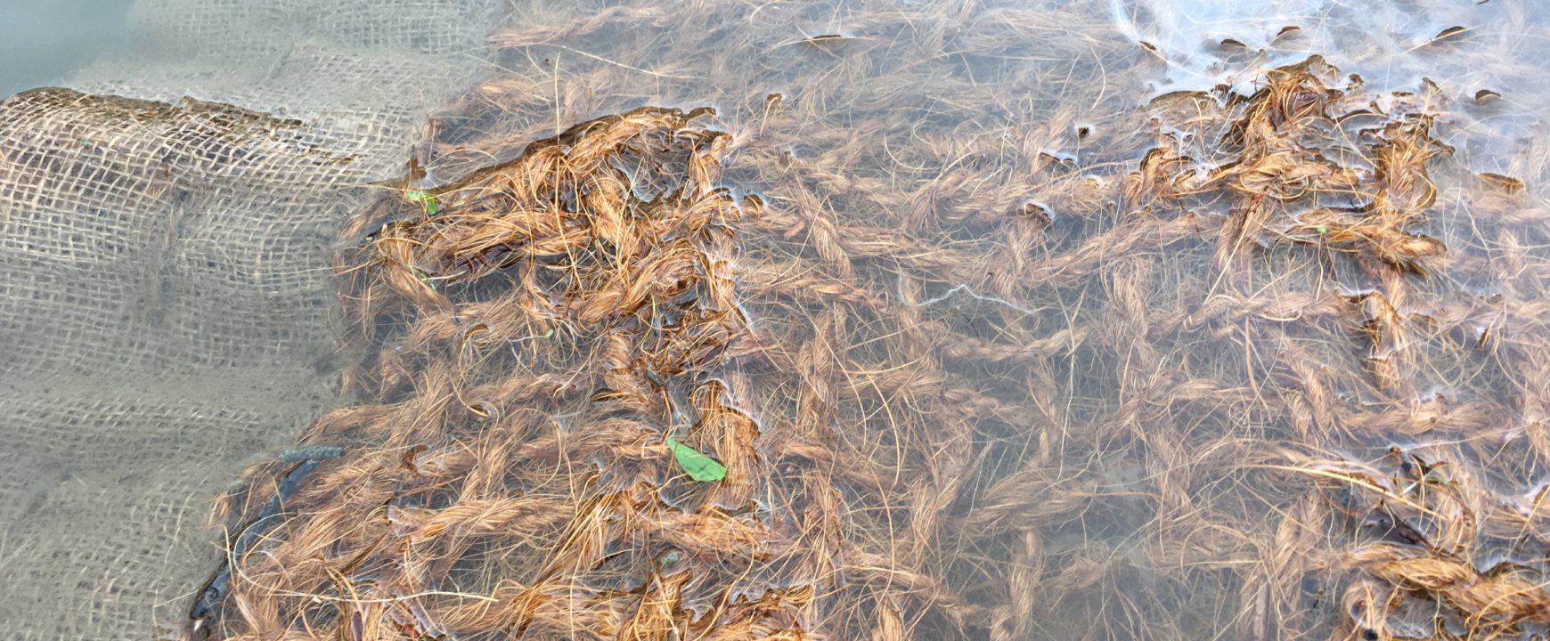 silt mat fibres