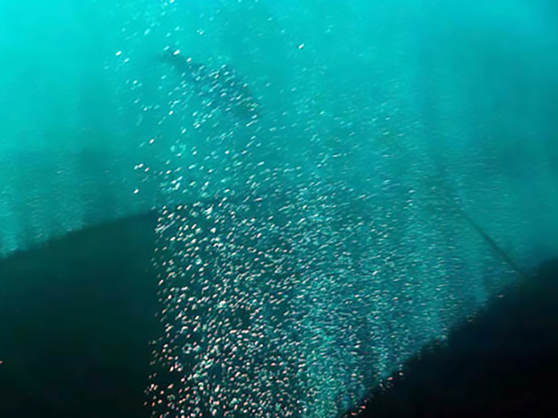 Aeration in salmon fish farm