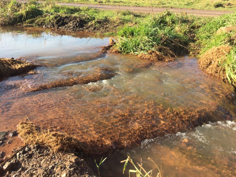 Floc Mat™ in site drainage ditch
