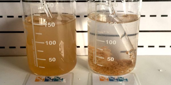 sediment settling in flasks
