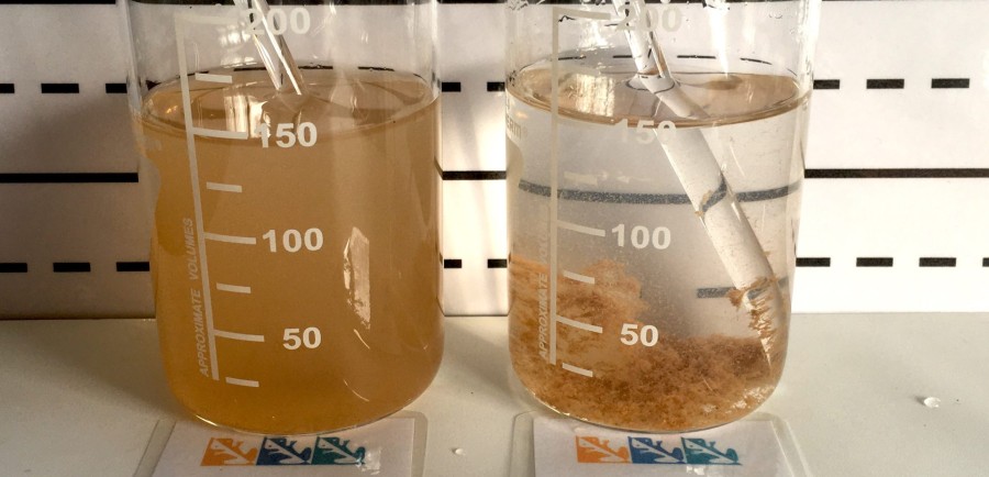 sediment settling in flasks